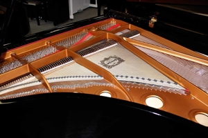 Flügel Klavier Yamaha C7, schwarz pol., 227 cm, Nr. 2283606 Bild 7