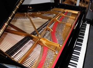 Flügel Klavier Steinway & Sons D-274, schwarz poliert, vollständig restauriert Bild 9