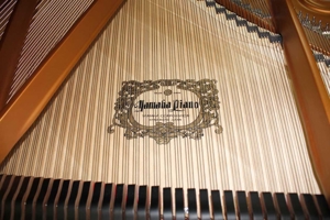 Flügel Klavier Yamaha C7, schwarz pol., 227 cm, Nr. 2283606 Bild 10