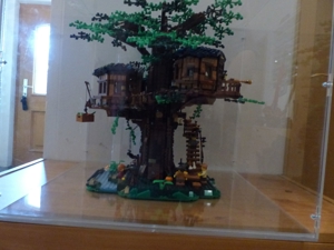 Lego 21318 Baumhaus mit Glas-Vitrine Bild 4