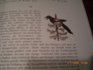 Der Sonnenspeicher Bild 5