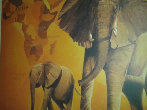 Wandbilder "Frau" + Elefanten + Hibiskus Bild 6
