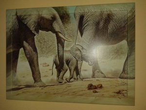 Wandbilder "Frau" + Elefanten + Hibiskus Bild 4