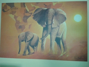 Wandbilder "Frau" + Elefanten + Hibiskus Bild 5