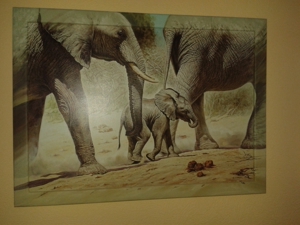 Wandbilder "Frau" + Elefanten + Hibiskus Bild 3