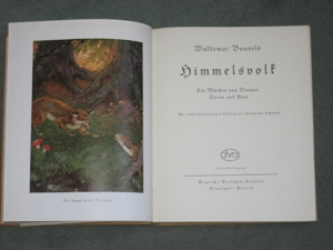 Waldemar Bonsels "Himmelsvolk" Ausgabe ca. 1925, illustriert Bild 2