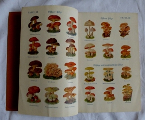 GEGEN ANGEBOT Konvolut alte Kochbücher Bild 3