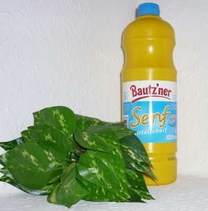 Bautzner Senf Quetschflasche 300 ml vegan mittelscharf Bild 3