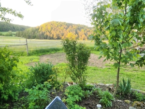 Exclusive Immobilie auf dem Lande Bild 3