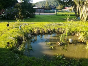 Exclusive Immobilie auf dem Lande Bild 13