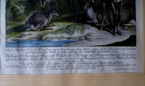 Dachbodenfund 2 x Martin Elias Ridinger 1730 - 1781originale Bild 9