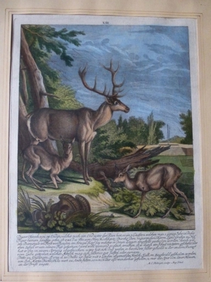Dachbodenfund 2 x Martin Elias Ridinger 1730 - 1781originale Bild 3