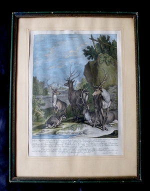 Dachbodenfund 2 x Martin Elias Ridinger 1730 - 1781originale Bild 6