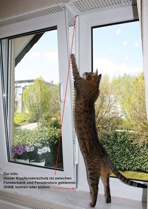 Kippfensterschutz für Katzen, OHNE BOHREN OHNE KLEBEN, System 4 Bild 1
