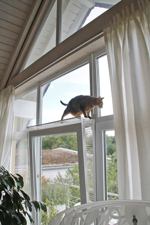 Kippfensterschutz Balkontüren für Katzen, OHNE Bohren und OHNE Kleben,System 8 Bild 7