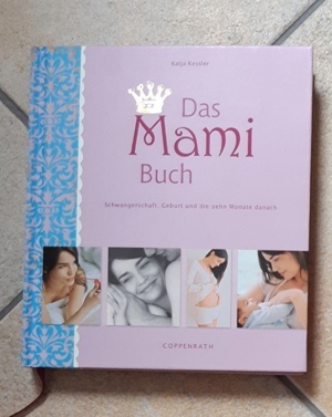 Diverse Bücher zu Schwangerschaft, Geburt und Baby Bild 5