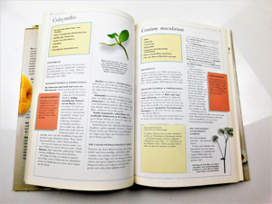 Praktische Homöopathie. Das neue Handbuch. Das richtige Mittel Bild 11