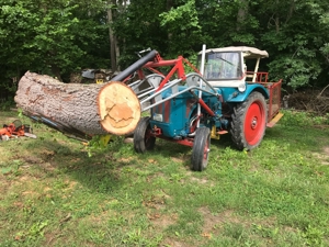 Traktor Hanomag 332 Granit Bild 1