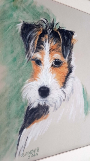 Foxterrier Gemälde Pastell Hund Original Tier Natur Signiert Fox Terrier Bild 1
