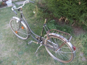 Oldtimer Damen-Fahrrad Damen-Rad aus den 50er Jahren Marke Brennabor Bild 4