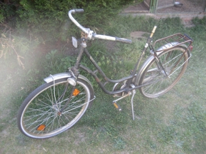 Oldtimer Damen-Fahrrad Damen-Rad aus den 50er Jahren Marke Brennabor Bild 2