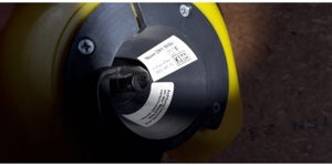 Bär Kindernachtlicht Bild 3