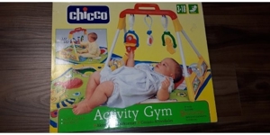 Chicco Activity Gym