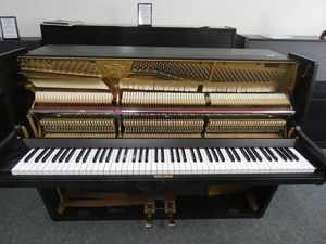Euterpe Klavier von Klavierbaumeisterin in Aachen Bild 8