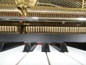 Euterpe Klavier von Klavierbaumeisterin in Aachen Bild 7