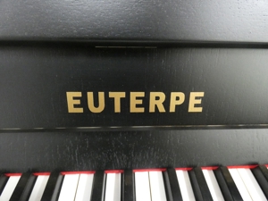 Euterpe Klavier von Klavierbaumeisterin in Aachen Bild 2