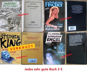Taschenbücher Krimi/Thriller/Romane u.a. (noch 46 Stck.) Bild 10