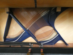 Seiler Klavier von Klavierbaumeisterin aus Aachen Bild 11