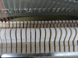 Seiler Klavier von Klavierbaumeisterin aus Aachen Bild 7