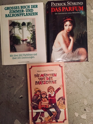 Bücher, gebundene + Taschenbücher * alt & neu * Kochbücher usw. Bild 17