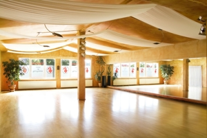 Schöner, großer und heller Raum für Tanz, Yoga, Bewegung, Gruppen oder Einzelarbeit Bild 3