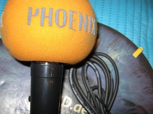 Dynamisches mikrofon mit phoenix   popschutz Bild 6