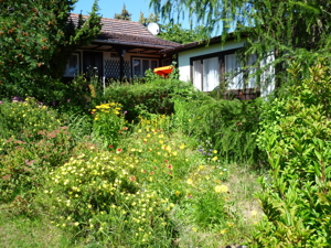 Tolle Lage am See, Ferienhaus Bungalow Ferienwohnung in Carwitz ! Bild 3