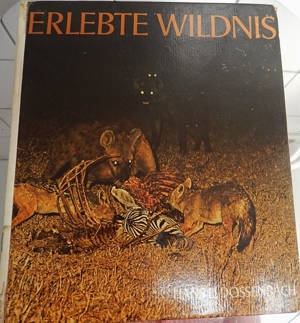 Erlebte Wildnis - Hans D. Dossenbach - ISBN 3-85805-013 X Bild 2