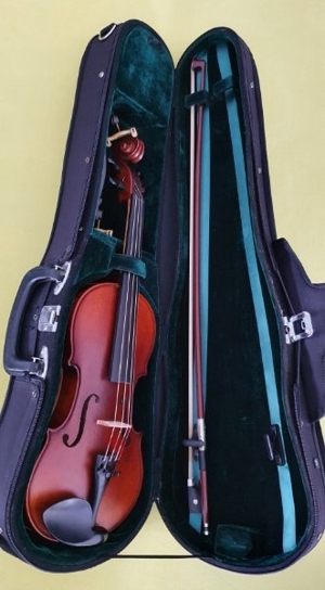 Meister 3 4 Violine-Geige ( Karl Höfner. ) Bild 1