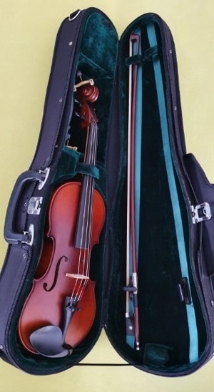 Meister 3 4 Violine-Geige ( Karl Höfner. ) Bild 19