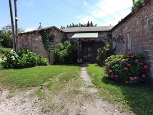 Pferdeboxen zu vermieten