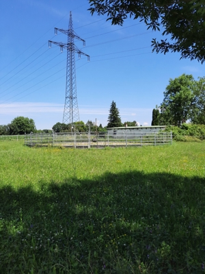 Pferdeboxen zu vermieten Bild 2