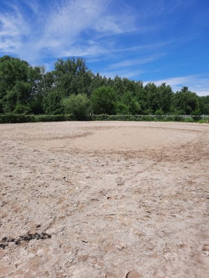 Pferdeboxen zu vermieten Bild 4