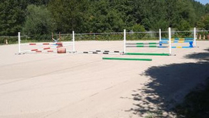 Pferdeboxen zu vermieten Bild 7