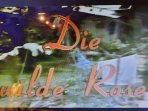 Die wilde Rose Bild 2