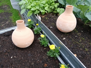 3-Liter-Olla, smarte Pflanzenbewässerung Bild 3