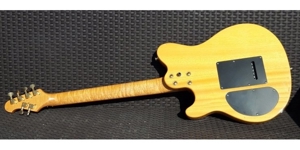 Sehr seltene E-Gitarre Career "Legend Series" EVH-style Traumoptik, HSS mit Gigbag + Gibson-Saiten Bild 3