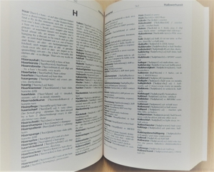 Grosswörterbuch Englisch/Deutsch / Deutsch/Englisch ISBN 3-8166-0432-3 Bild 4