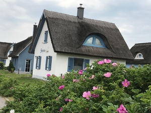 Immobilienmakler Insel Rügen über 1600 verkaufte Immobilien Bild 6