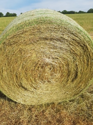 Heu und Stroh Ernte 2024 Bild 5